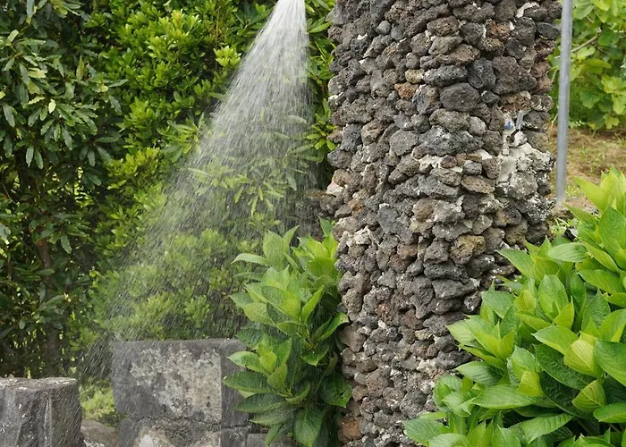 Hébergement de vacances Faial Adega Lemos